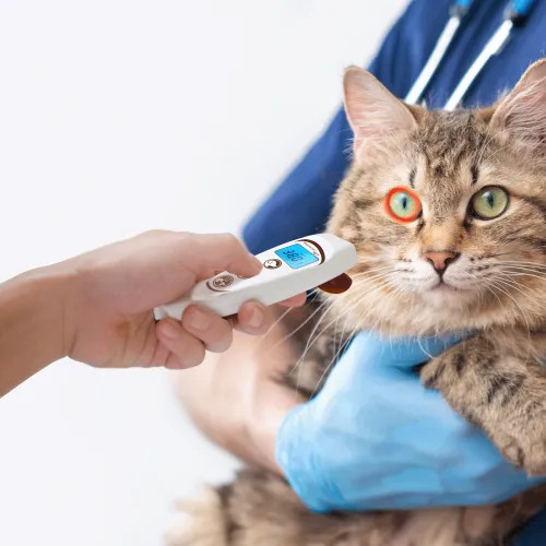 Termometru fără contact VisioFocus Pet VisioFocus PET-1.png