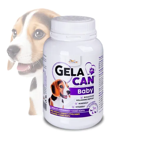 Gelacan Baby Aquamin pentru căței