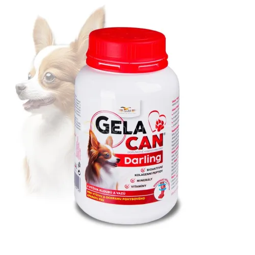 Gelacan Darling pentru câini