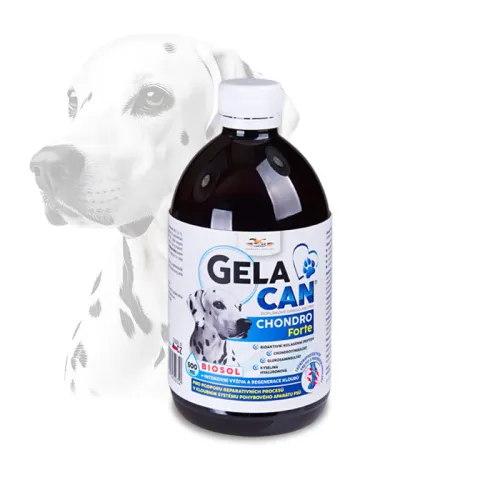 Gelacan Chondro Forte Biosol pentru câini 500 ml