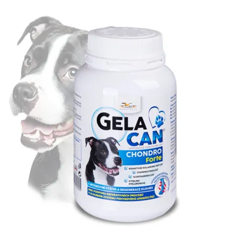 Gelacan Chondro Forte pentru câini