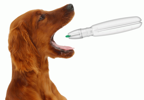 Pet Pill Pen distribuitor de pastile pentru animale de companie pet-pill-pen-blister-dozownik-tabletek-dla-zwierzat-6285.gif