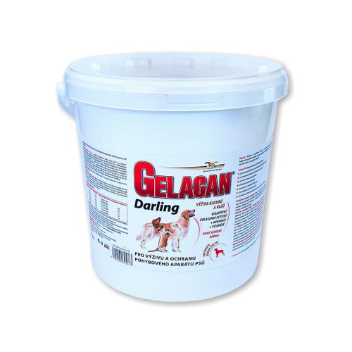 Gelacan Darling pentru câini Gelacan Darling dla psów 5kg.jpg