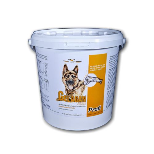 Gelacan Profi Aquamin pentru câini Gelacan Profi Aquamin dla psów 5kg.jpg