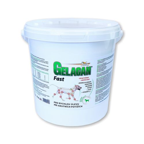 Gelacan Fast pentru câini pentru articulații Gelacan Fast dla psów na stawy 5kg.jpg