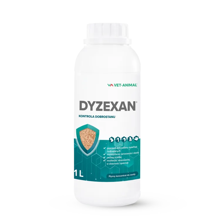 Dyzexan Ptaszyniec1L en.png