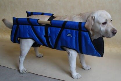 Transportați mare Nosze-dla-psa-4b.jpg