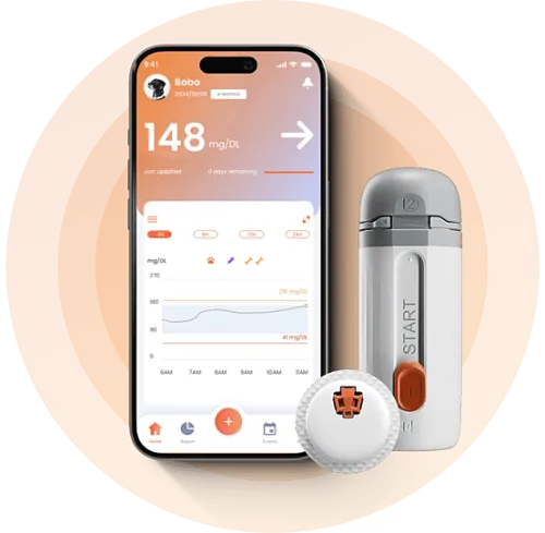 Sistem CGM – dispozitiv pentru monitorizarea glicemiei la câini și pisici pet cgm_product.png
