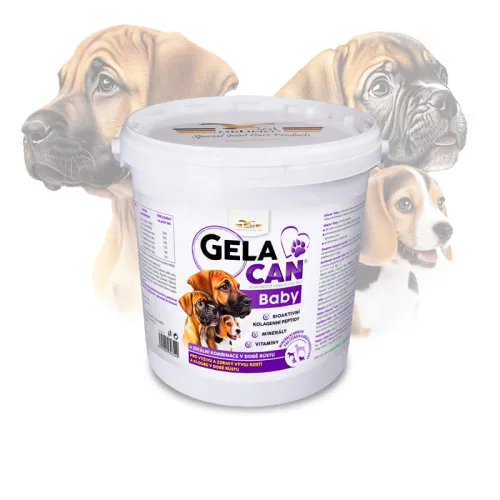 Gelacan Baby Aquamin pentru căței GC-Baby-5-kg.jpg