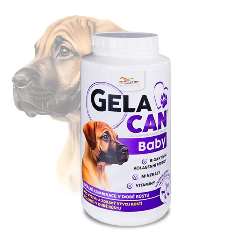 Gelacan Baby Aquamin pentru căței Gelacan-Baby-1-kg---proszek.jpg