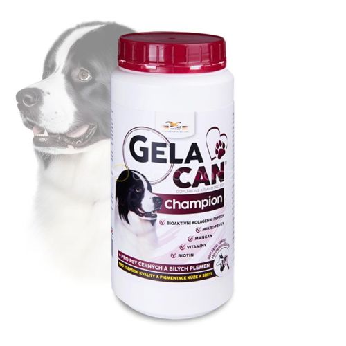 GC-Champion-BW-500-g.jpg