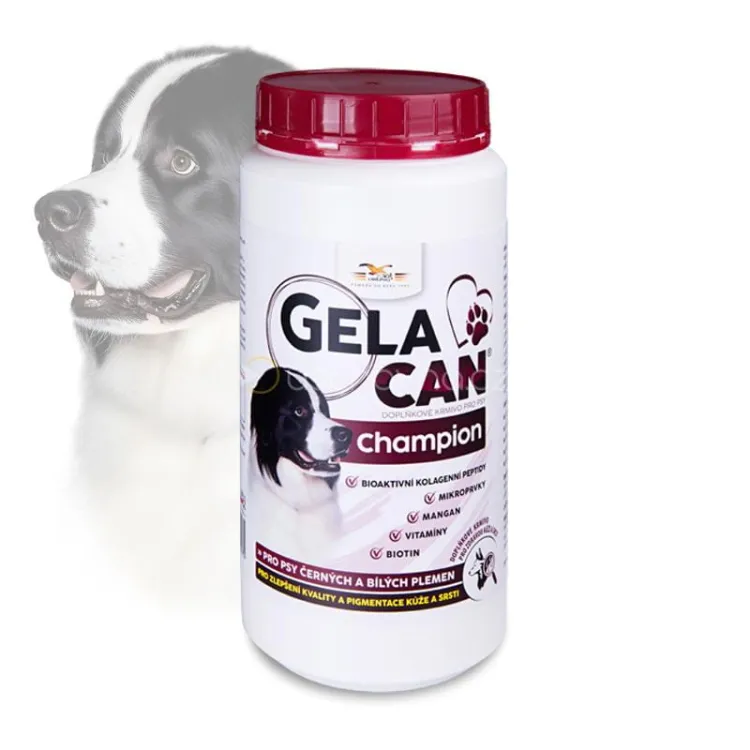GC-Champion-BW-500-g.jpg