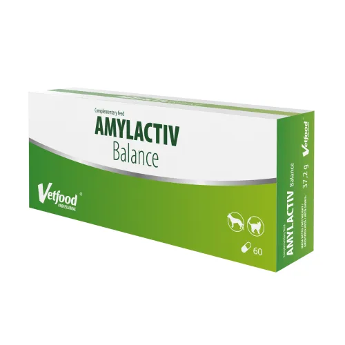 Amylactiv-Balance-60-1.webp