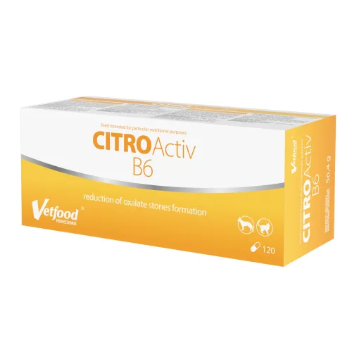 CitroActiv B6 120 capsule Vetfood