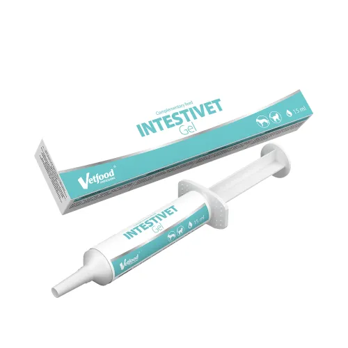 Gel Intestivet 15 ml