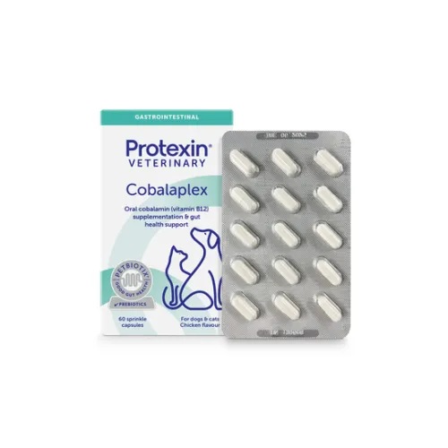 Cobalaplex probiotic pentru câini și pisici 60 capsule.