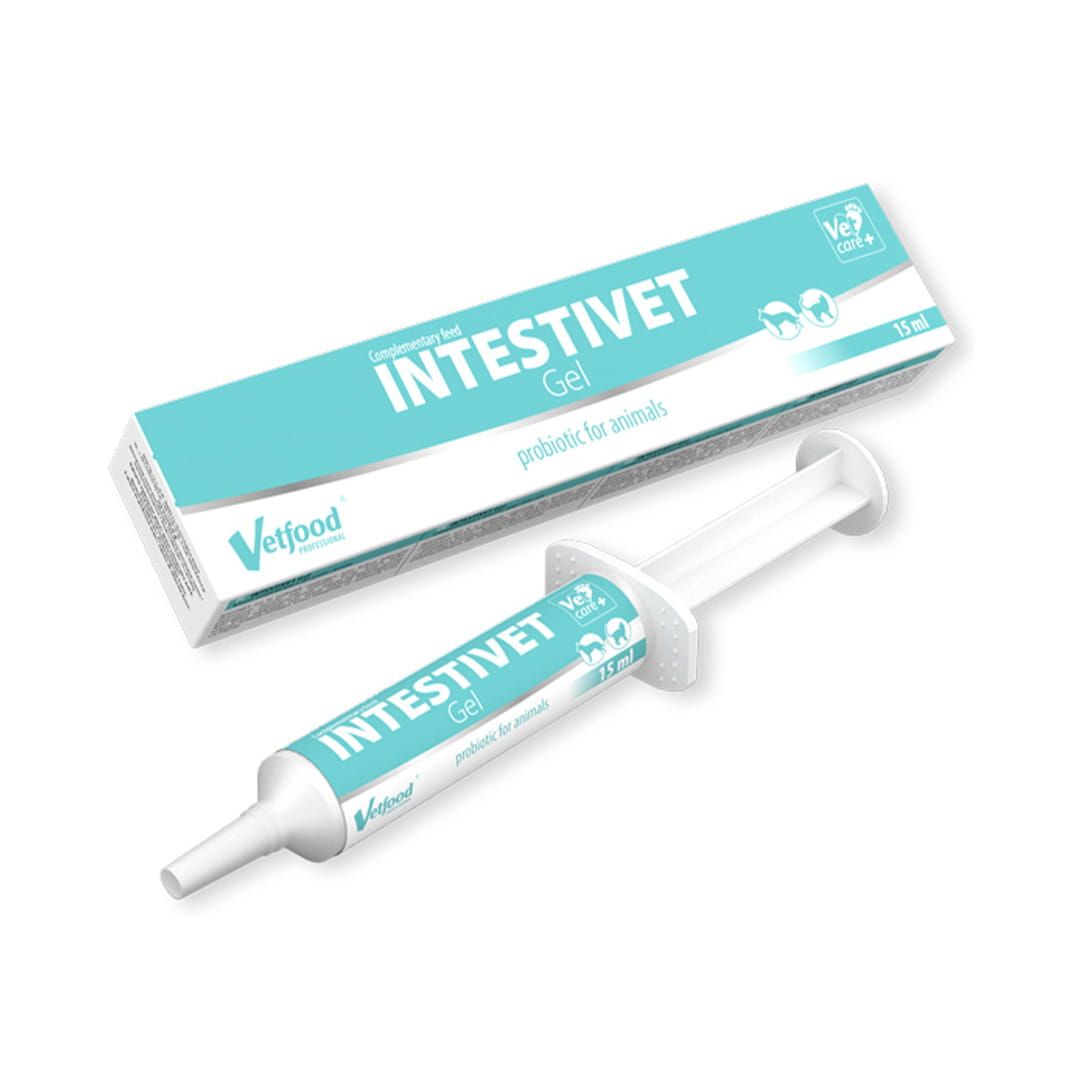 Intestivet.jpg