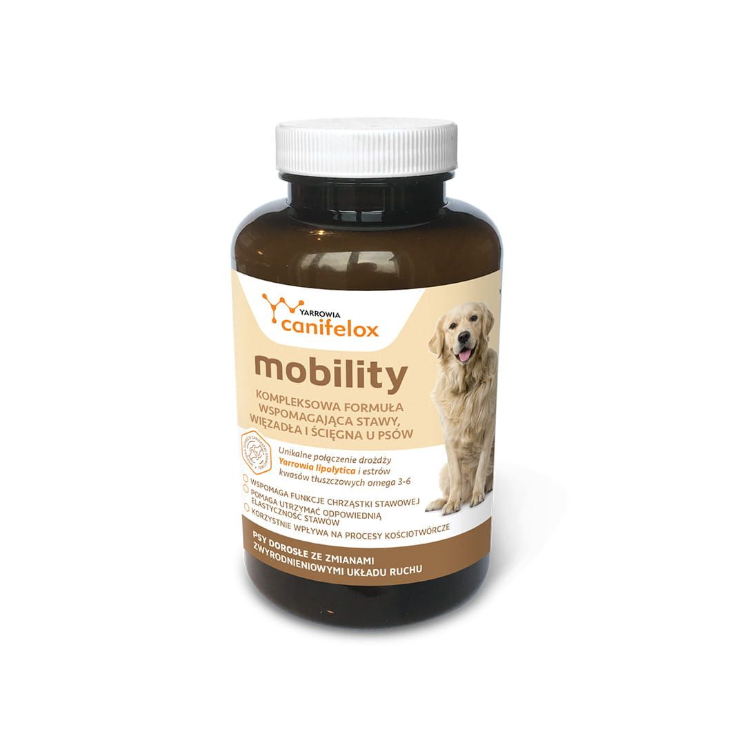 Canifelox Mobility YARROWIA.jpg