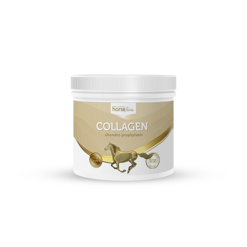 Colagen HorseLinePRO Collagen HorseLinePRO 300g.png