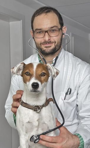 Stetoscop mare HEINE GAMMA HEINE GAMMA Stetoskop duży-3.jpg