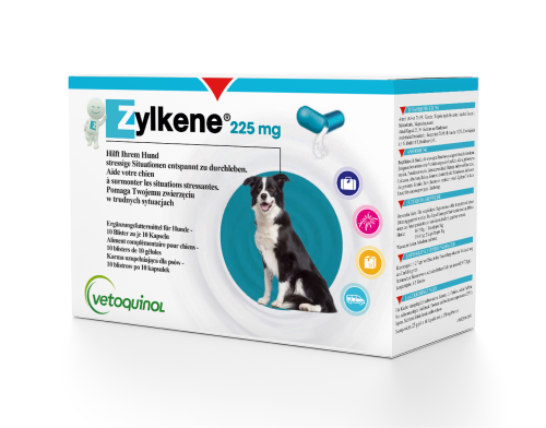 ZYLKENE_2022_225mg.png