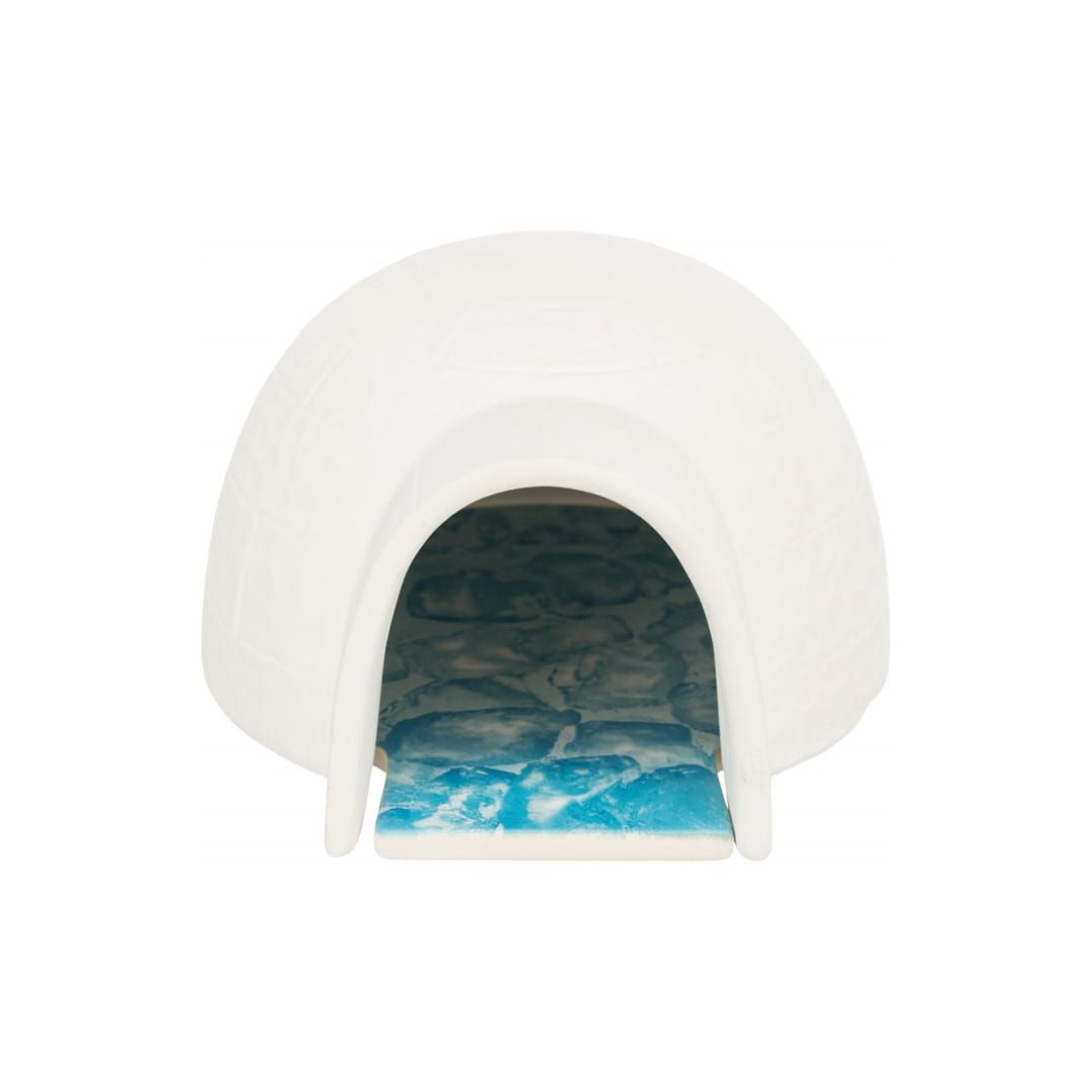 Igloo z ceramiczną płytką chłodzącą dla chomika.jpg