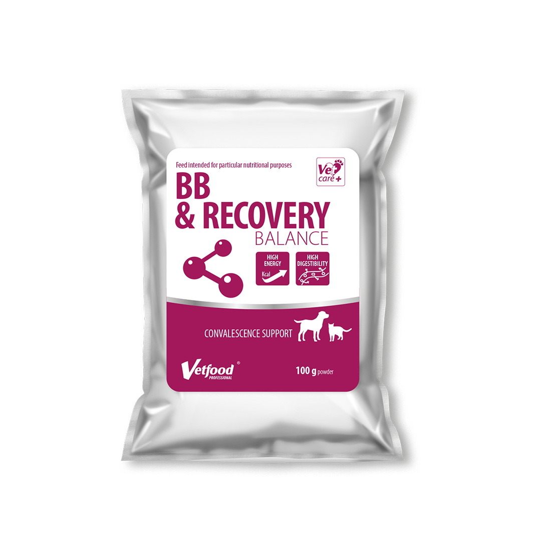BB &amp; echilibru de recuperare 100 g Vetfood
