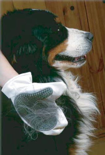 Mănușă de spălat pentru câini și pisici Zolux ZOLUX Rękawica do mycia-2.jpg