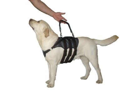 Harnașament pentru vestă uprzaz-dysplazja-2.jpg