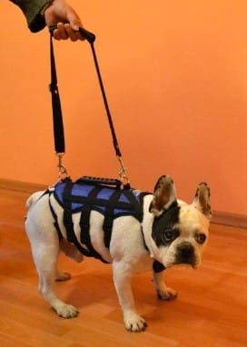 MAX ham vestă uprzaz-kamizelkowa-max-admiral-buldozek-fr.-6.jpg