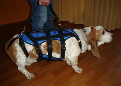 MAX ham vestă uprz---kamizelkowa-max-dla-psa-2.jpg