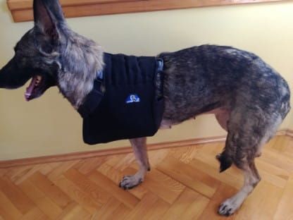 Orteză pentru membrul toracic Temblak-dla-psa-sling-for-dog-to-the-front-paws-v.jpg