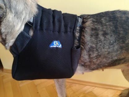 Orteză pentru membrul toracic Temblak-dla-psa-sling-for-dog-to-the-front-paws-vv.jpg