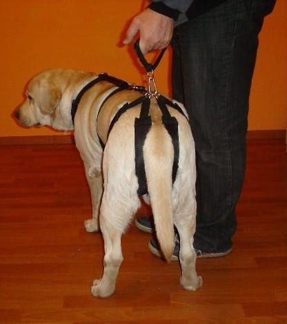 Set de hamuri standard plus