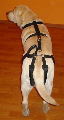 Set de hamuri standard plus szelki-standard-plus-z-szelkami-barkowymi-2_s9vp6s18.jpg