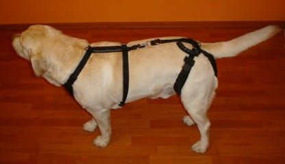 Set de hamuri standard plus szelki-standard-plus-z-szelkami-barkowymi-4_on5p1v40.jpg