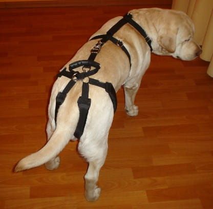 Set de hamuri standard plus szelki-standard-plus-z-szelkami-barkowymi-1_xea7m1lp.jpg