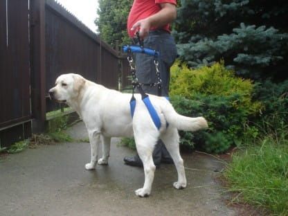 Brățări pe o șină Dsc03259.jpg