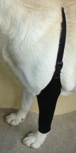 ciorap frontal SPANDEX ponczocha-dla-psa-przod-3.jpg