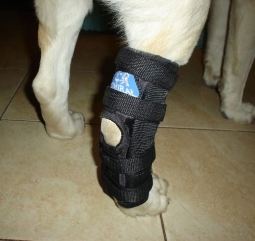 Brățară pentru gleznă stabilizată posterior 2 atele orteza-skokowa_4bch31cl.jpg