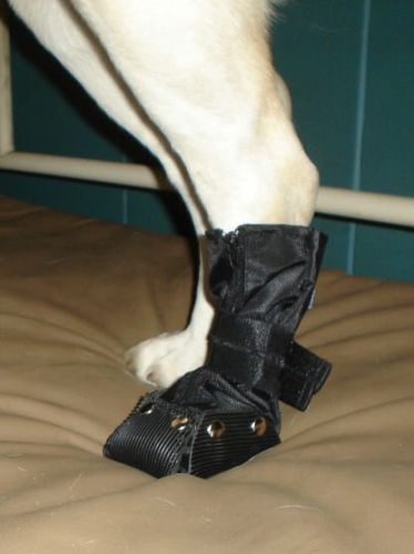 Cizmă de protecție cu fermoar but-dla-psa-na-gumie-2.jpg