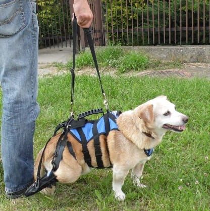 Cizmă de protecție uprzaz-z-butami-b.jpg