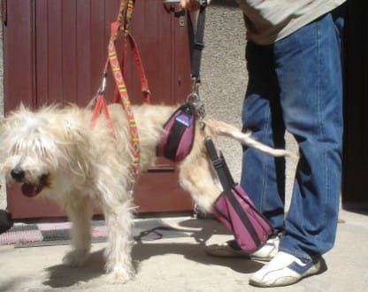 Geantă de mână pereche de pantofi uprzaz-brzuszna-buty-2.jpg