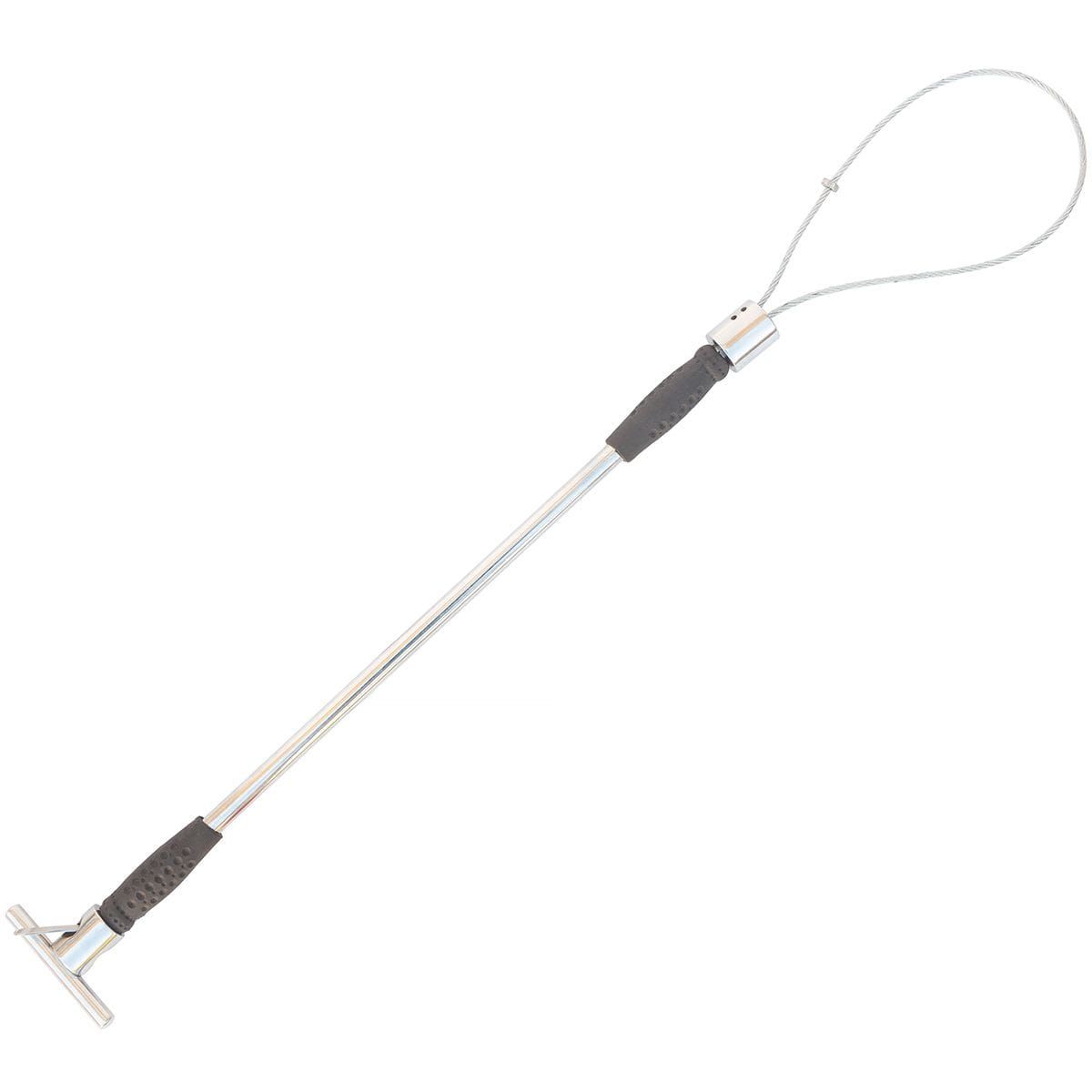 Îmblânzitor de porci 60 cm