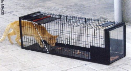 Cușcă capcană pentru pisici și animale mici Klatka pułapka 178-315-2.jpg