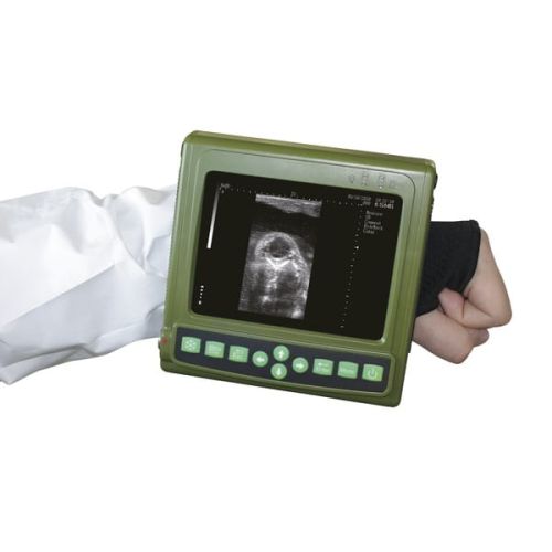 Dispozitiv cu ultrasunete MAGIC 500 PLUS Mobilne urządzenie ultradźwiękowe MAGIC 500 PLUS do diagnostyki ciąży u bydła i klaczy