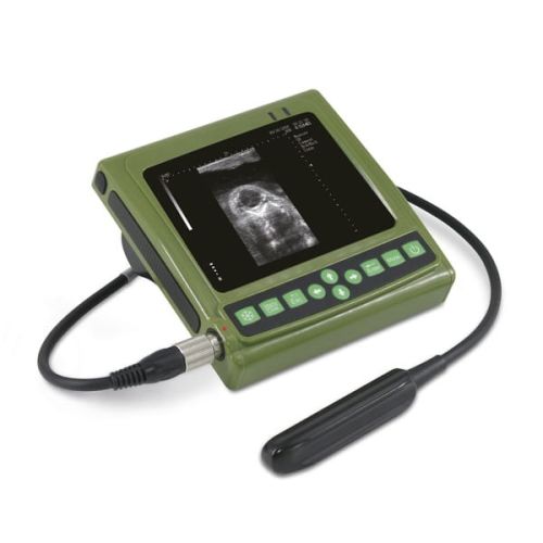 Dispozitiv cu ultrasunete MAGIC 500 PLUS Mobilne urządzenie ultradźwiękowe MAGIC 500 PLUS do diagnostyki ciąży u bydła i klaczy