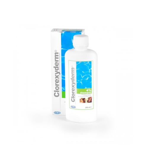 Șampon Clorexyderm 4% 250 ml Geulincx Clorexyderm Shampoo 4% 250 ml Geulincx.png