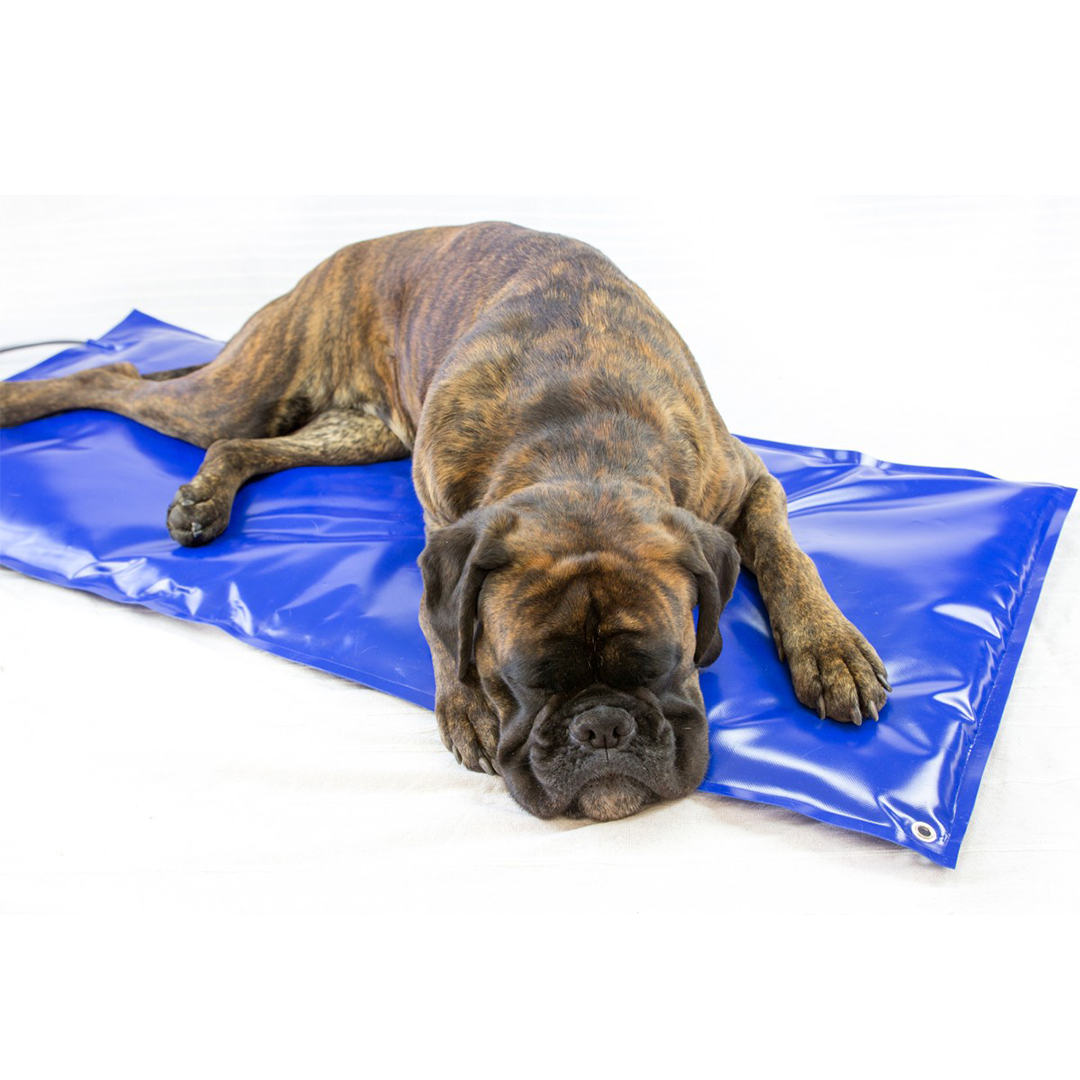 Mata grzewcza dla zwierząt Carbon Tech V1 duża.png