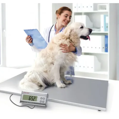 Cântare veterinare CHARDER VS 2400 elektroniczna-waga-weterynaryjna-charder-vs-2400 (2).webp